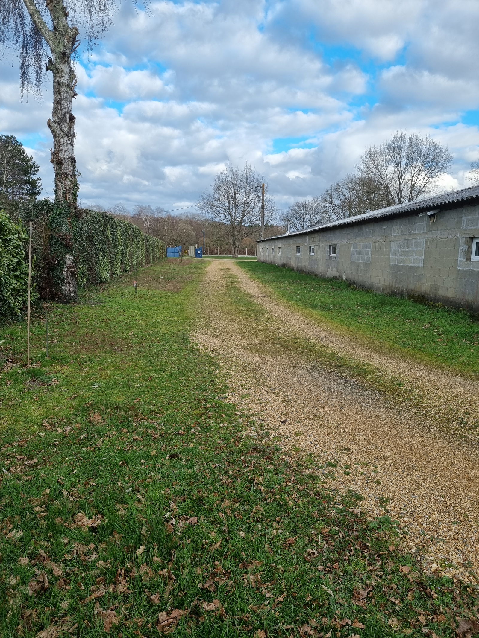 Kolokation Ruaudin 141598