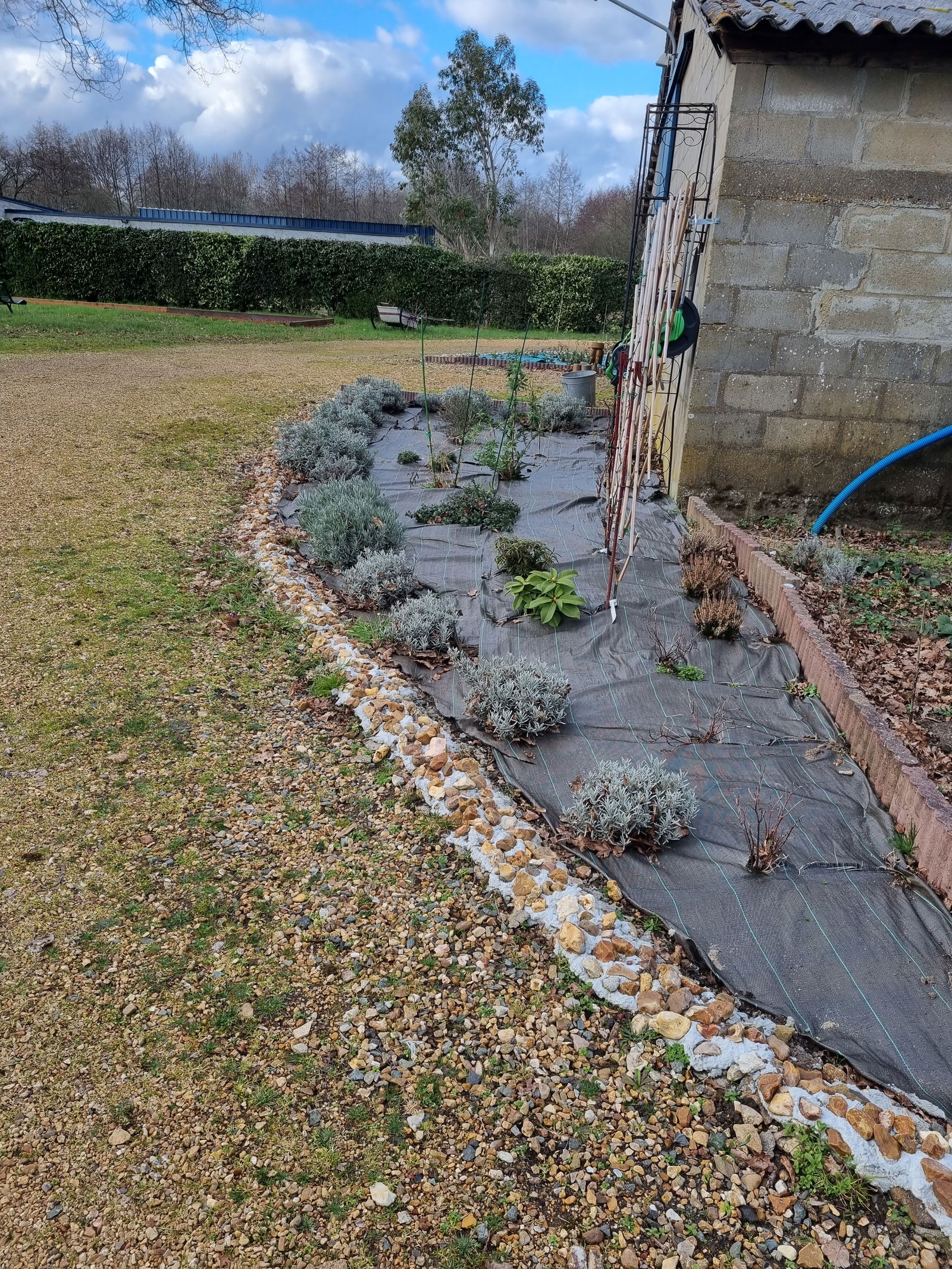 Kolokation Ruaudin 141598