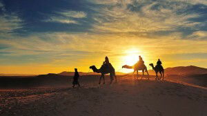 Bed And Breakfast M'Hamid El Ghizlane 102667