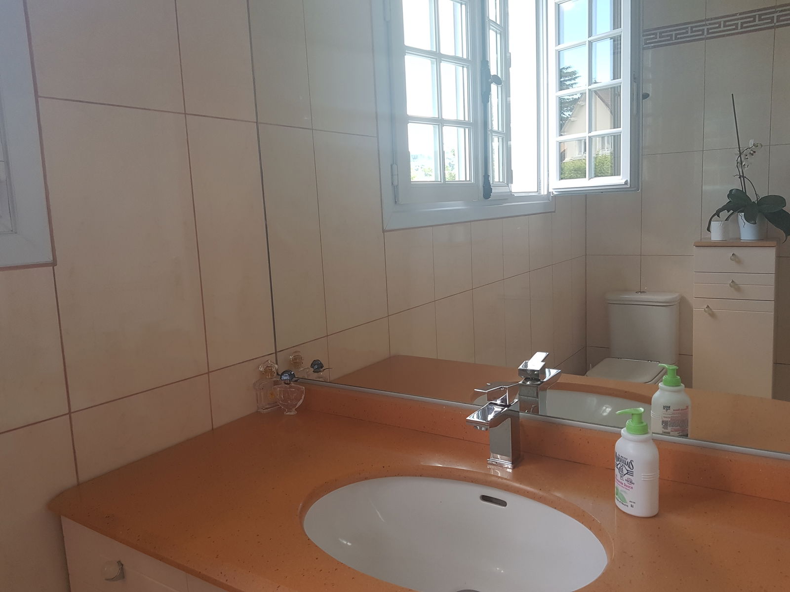 Colocation Orsay 101360