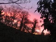 Chambre Chez L'habitant Bassillac Et Auberoche 392991-9