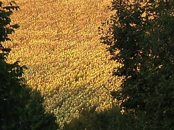 Chambre Chez L'habitant Bassillac Et Auberoche 392991-10