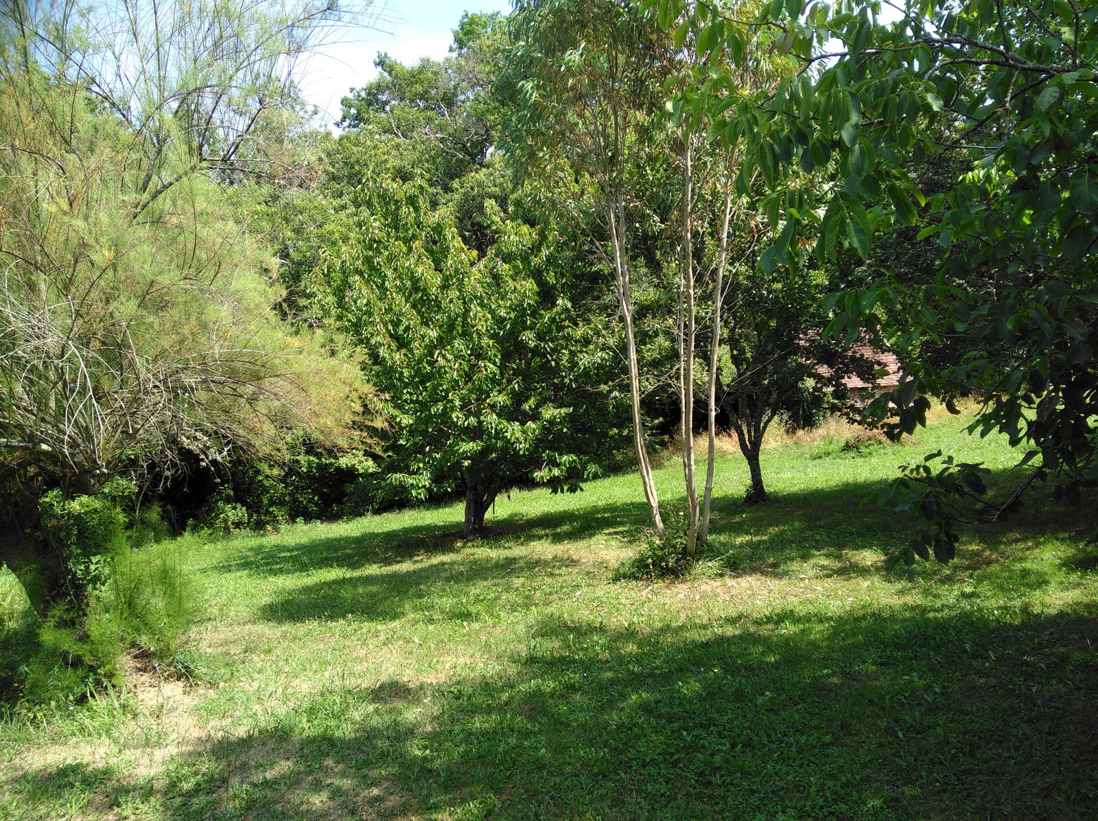 Homestay Bassillac et Auberoche 392991