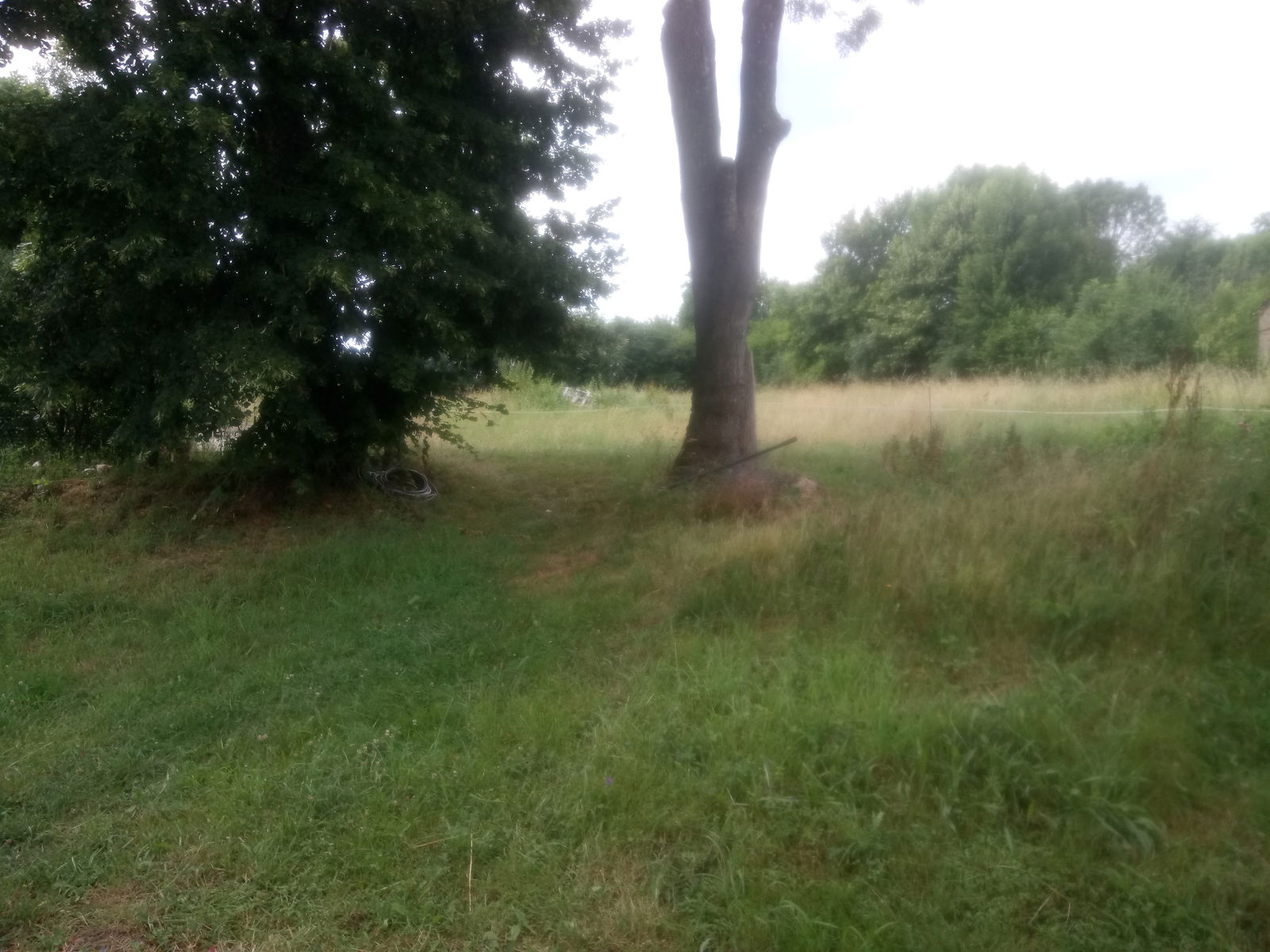 Gastfamilie Bonnat 225761