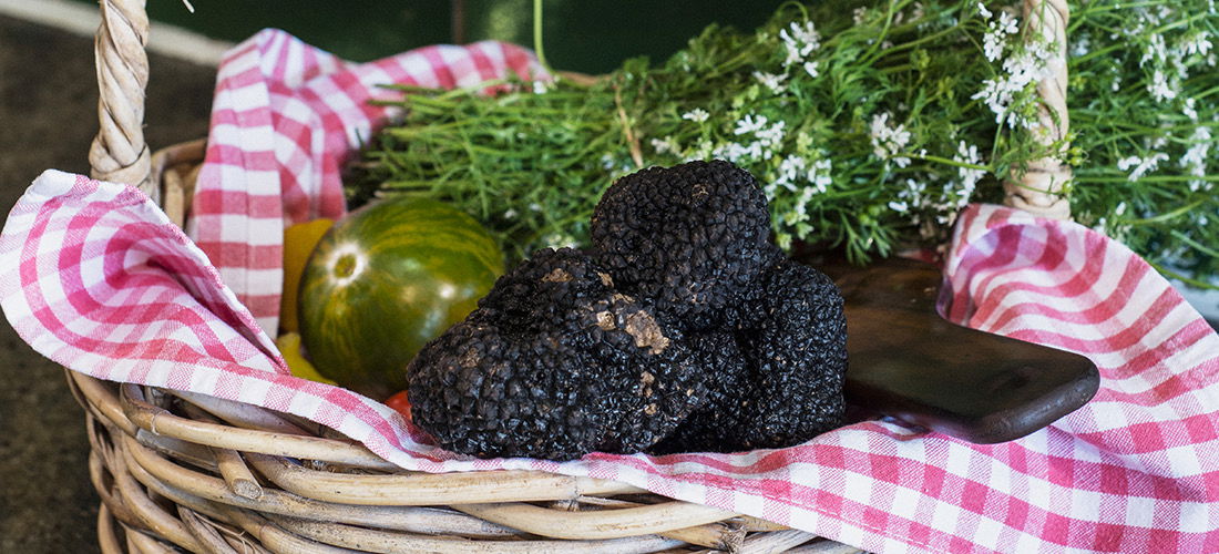 Gastgezin Robion 484414