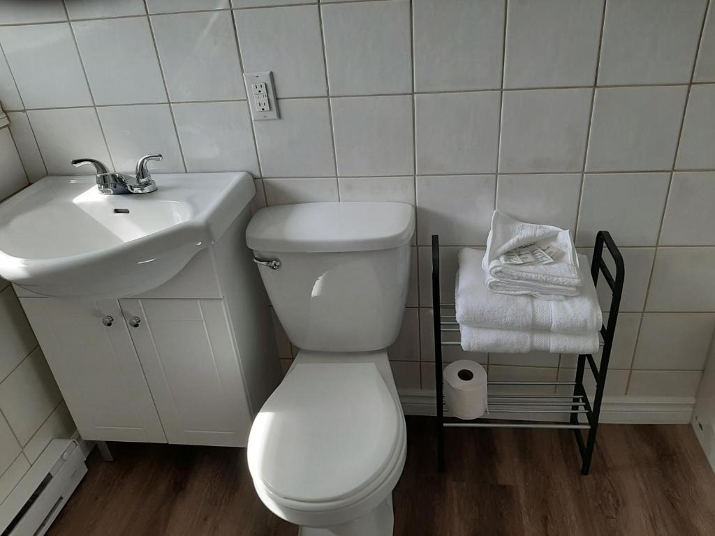 Gehele Woning Trois-Rivières 637715