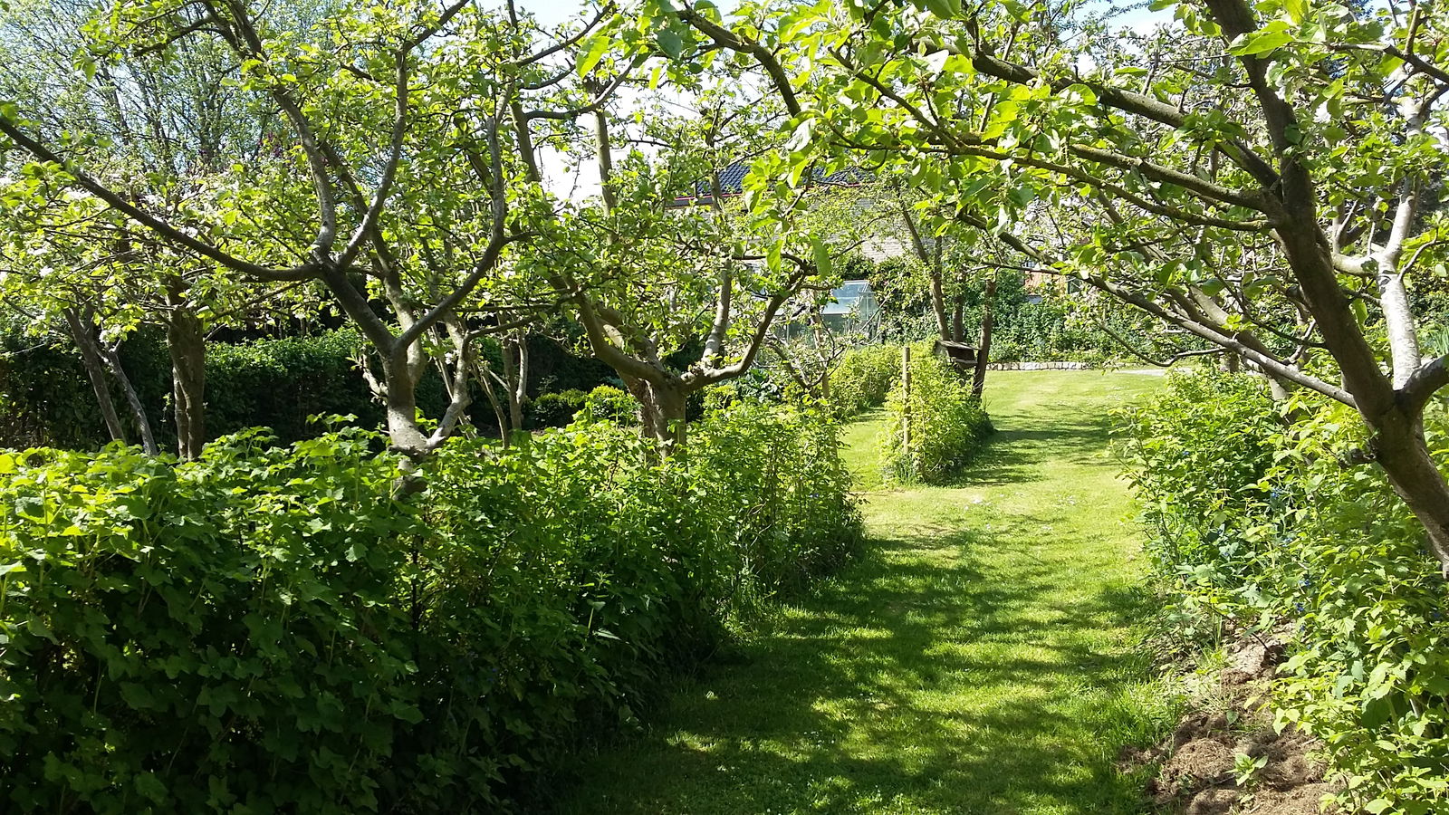 Tuisverblyf Tatinghem 131060