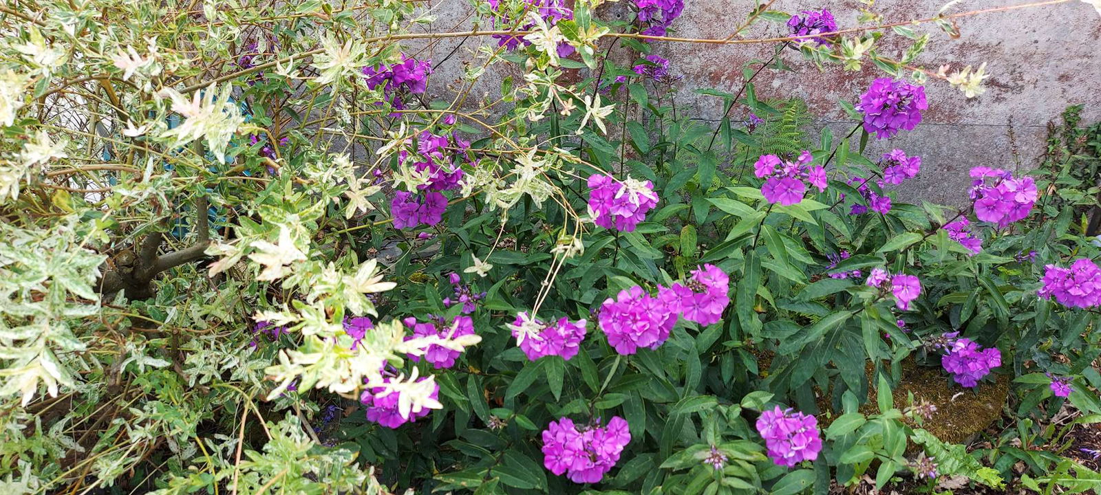 Homestay Saint-Congard 262602