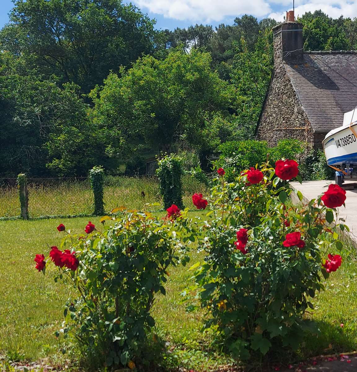 Homestay Saint-Congard 289774