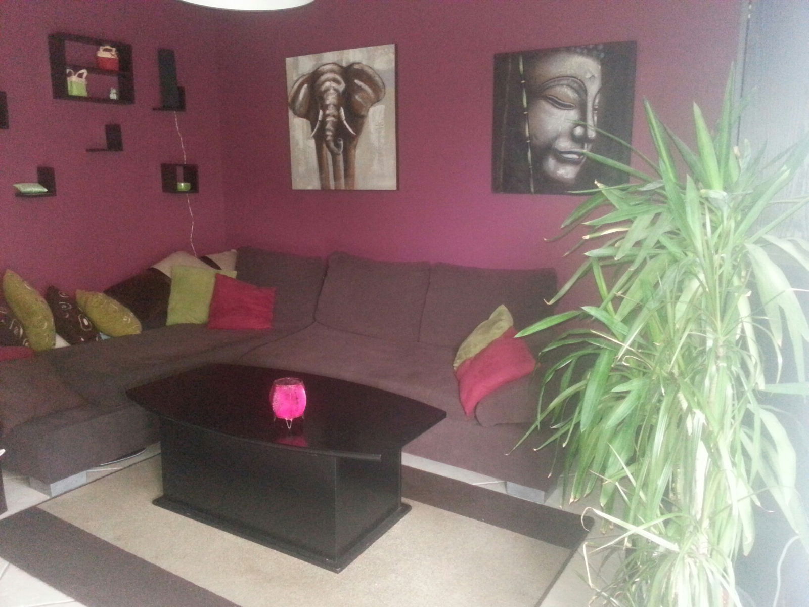 Homestay Villefranche-sur-Saône 76970