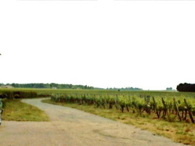 Homestay Néac 147245