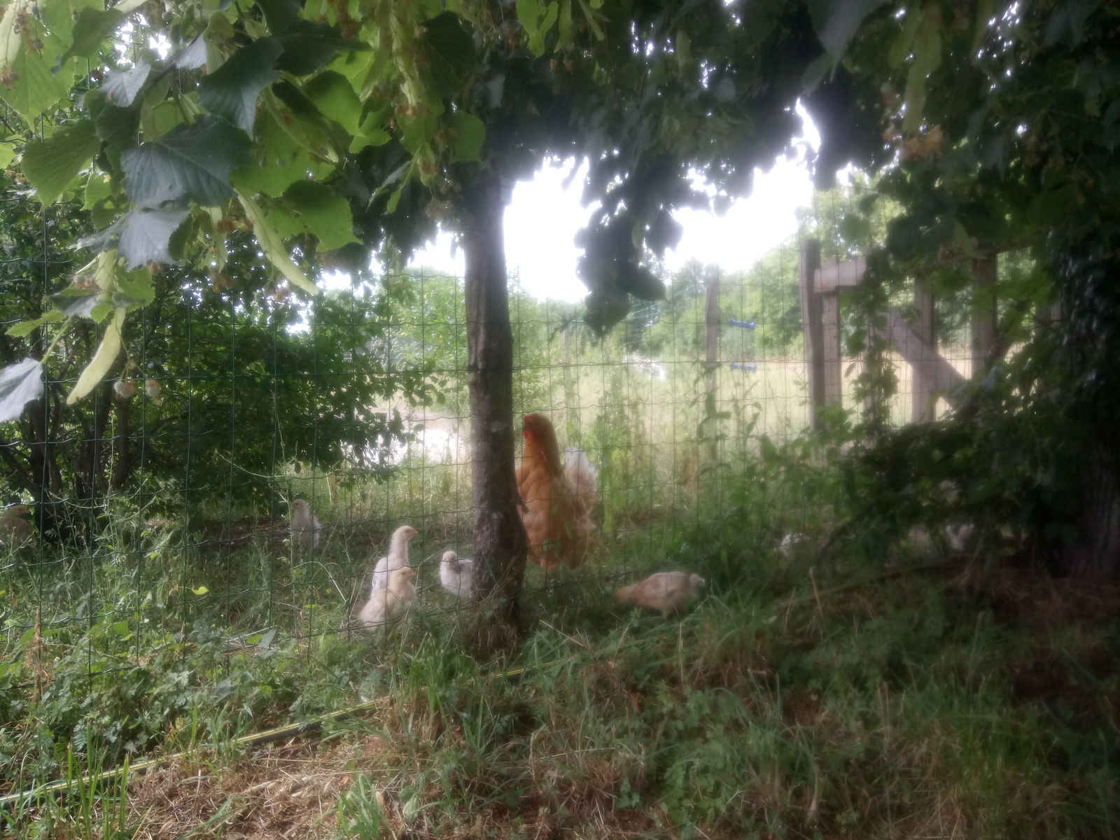 Homestay Bonnat 225761