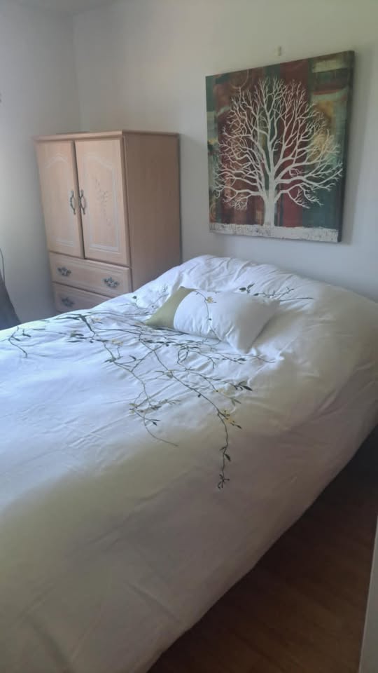 Kolokasie Québec 648222