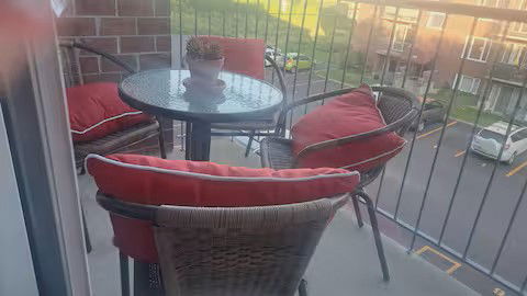 Kolokasie Québec 648222