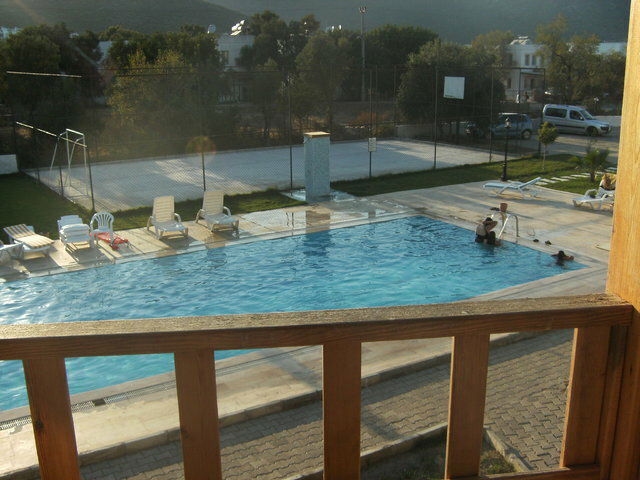 Estudio Independiente Torba 45009