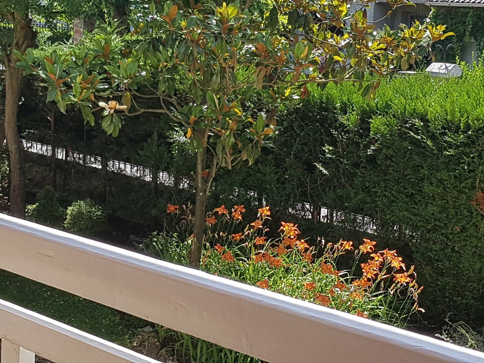 Quedarse En Casa Orsay 119540