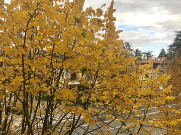 Chambre Chez L'habitant Pamplona 217562-12