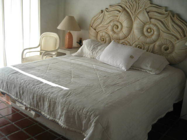 Hemvistelse Puerto Vallarta 200490-1