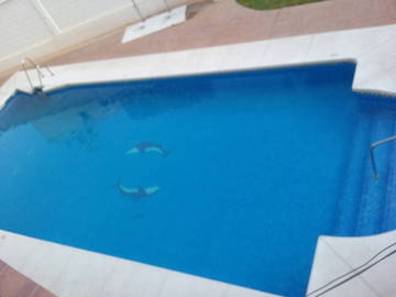 Room For Rent Fuengirola 225177