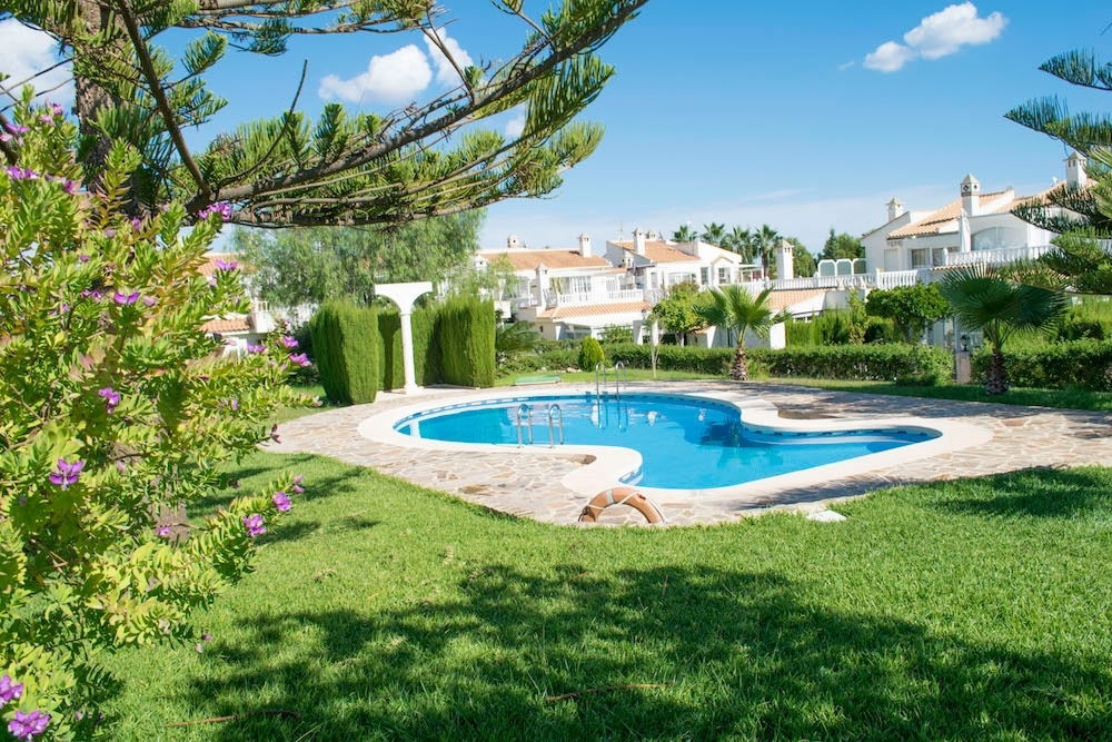 Estudio Independiente Torrevieja 102381
