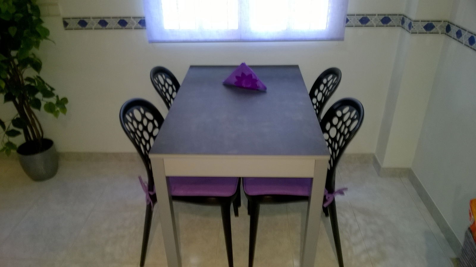 Estudio Independiente Torrevieja 102381