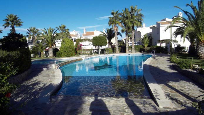 Estudio Independiente Torrevieja 102381