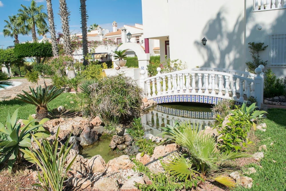 Estudio Independiente Torrevieja 102381
