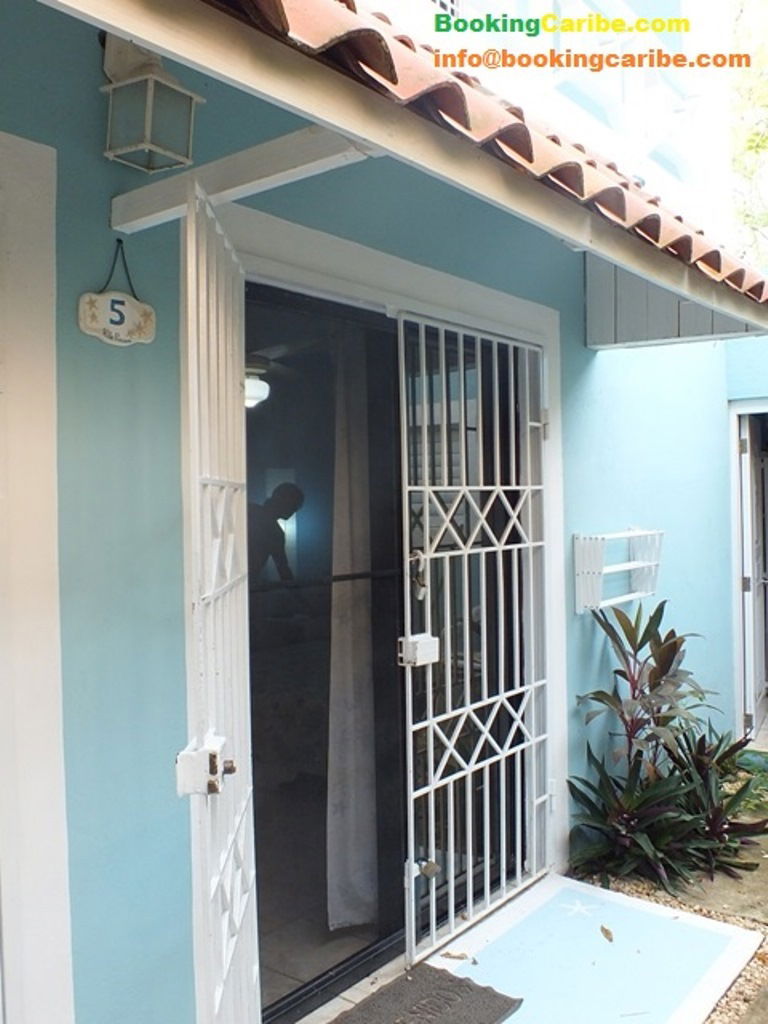 Estudio Independiente Dominicus 114467