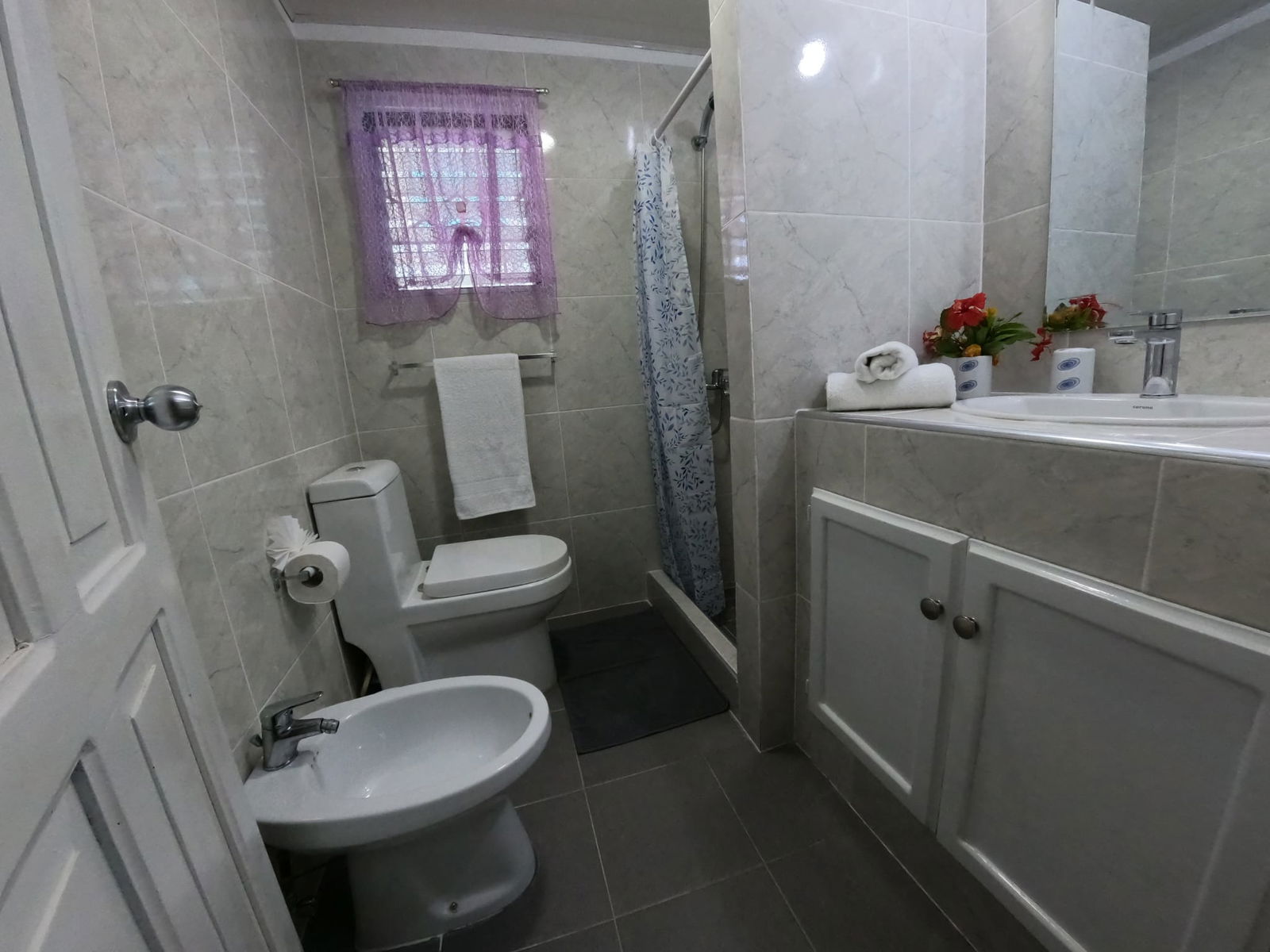 Estudio Independiente Dominicus 114467