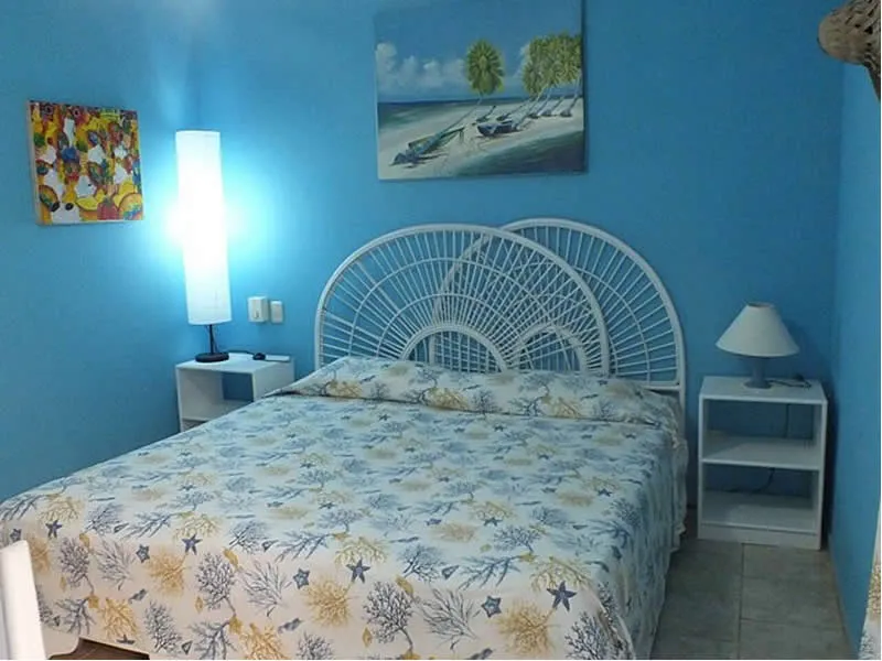 Estudio Independiente Dominicus 114467
