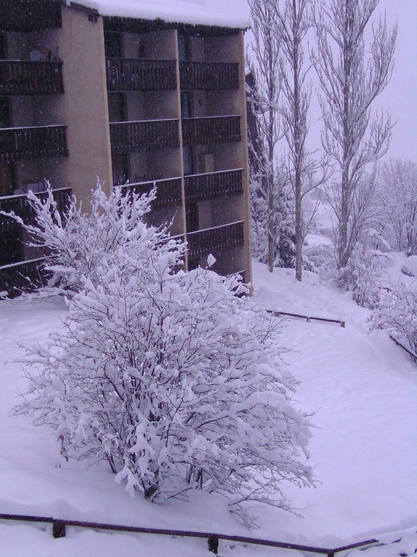 Estudio Independiente Faucon-de-Barcelonnette 84350