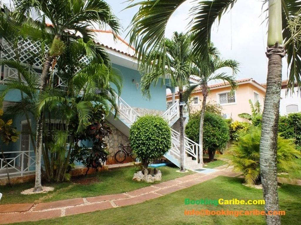 Estudio Independiente Dominicus 114542