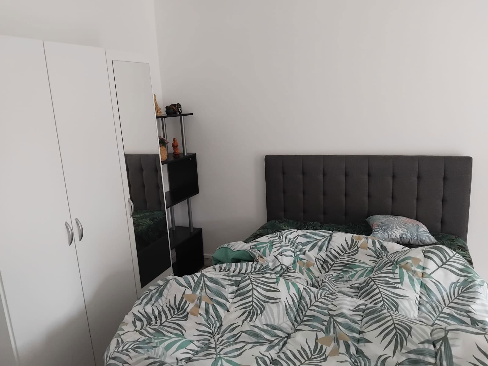 Colocación Nice 411550