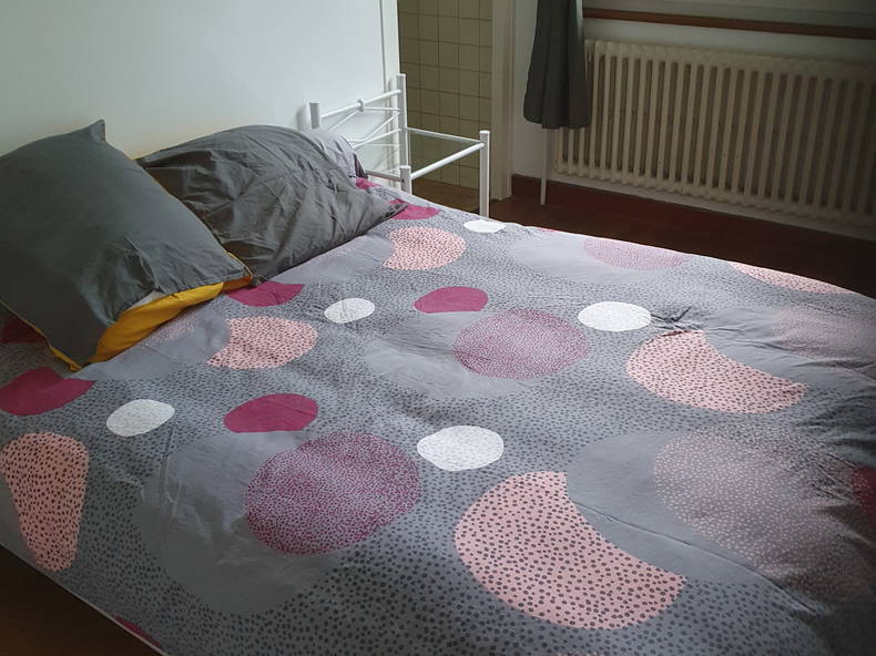 Gastfamilie Bonneville 379661-1