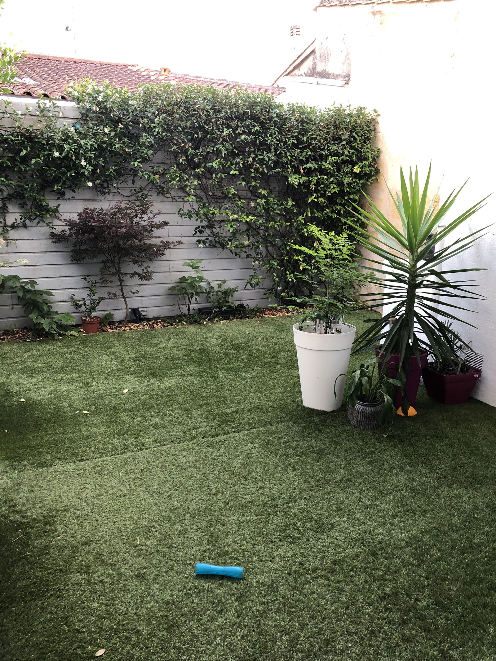 Homestay Bordeaux 398061