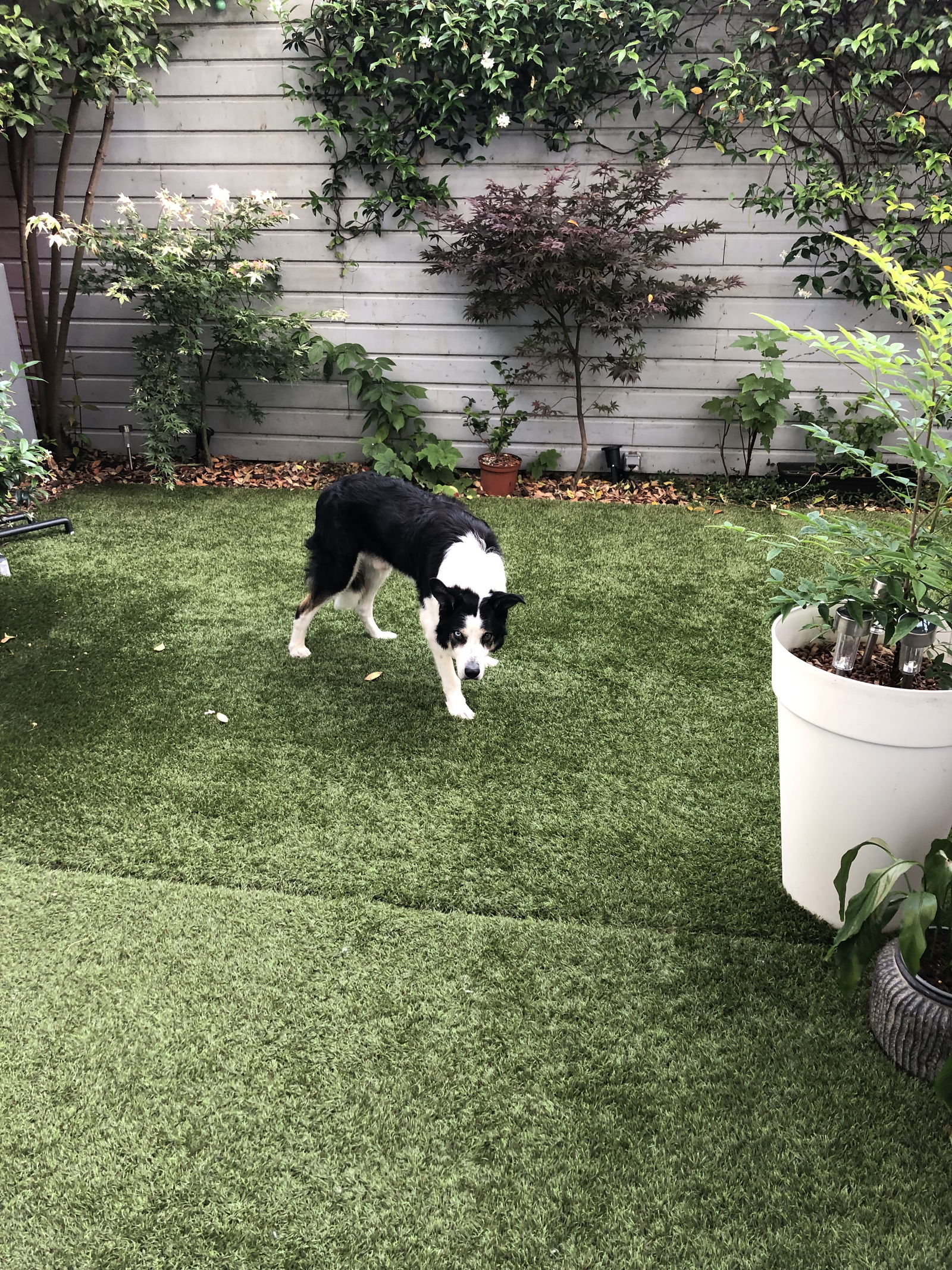 Zakwaterowanie U Rodziny Bordeaux 398061