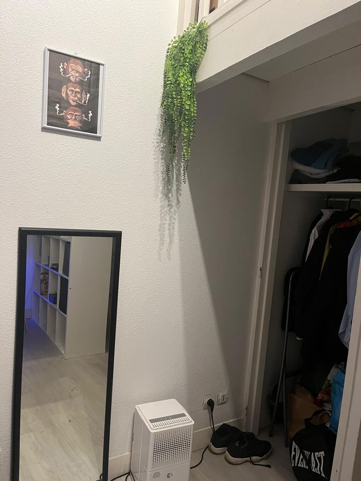 Colocação Bordeaux 515166