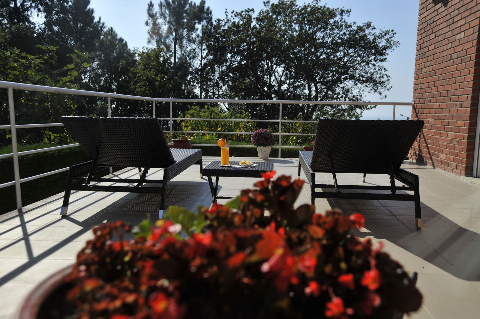 Bed And Breakfast Afife 157569