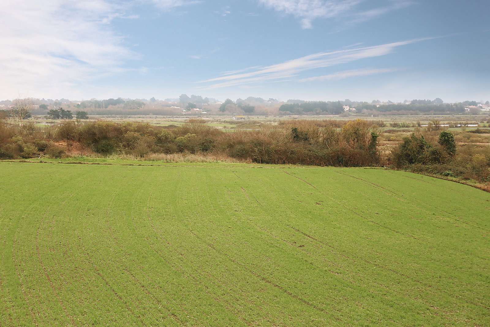 Entire Home Saint-Hilaire-de-Riez 656235