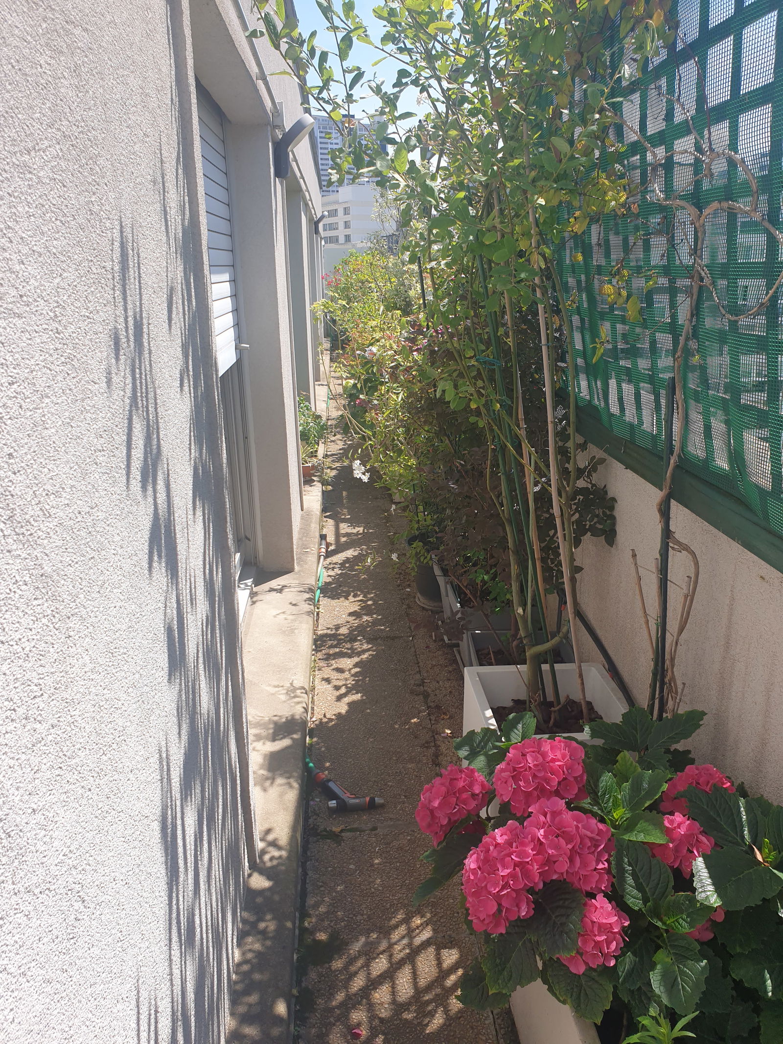 Homestay Paris 253403
