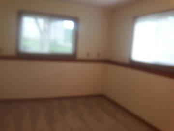 Room For Rent Anoka 177367