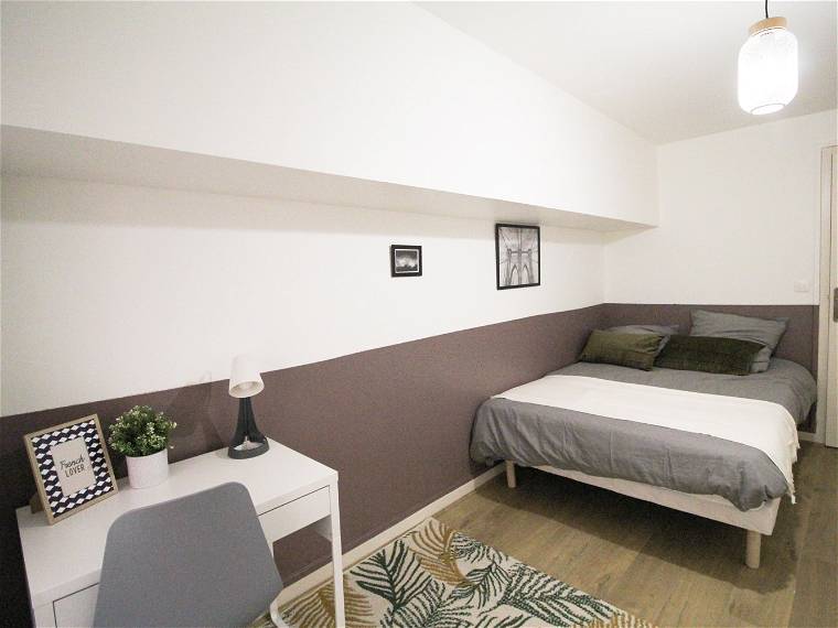 Chambre À Louer Lyon 264506-1