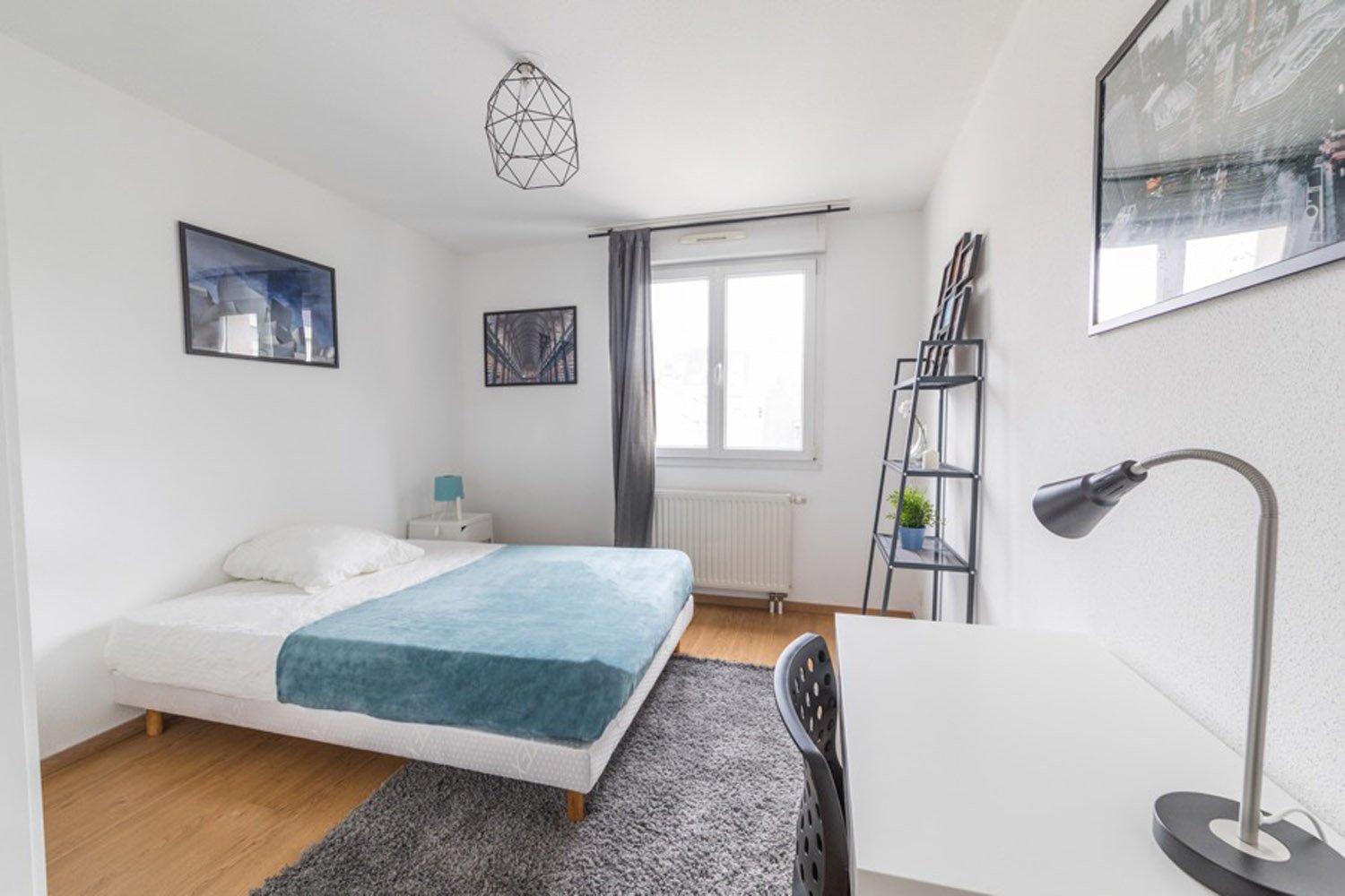 Colocation Strasbourg 264711