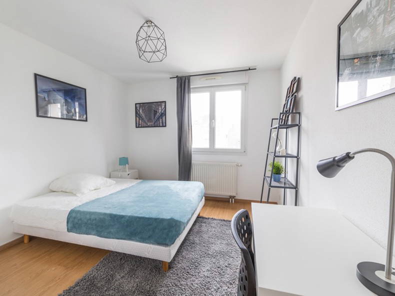 Colocation Strasbourg 264711-1