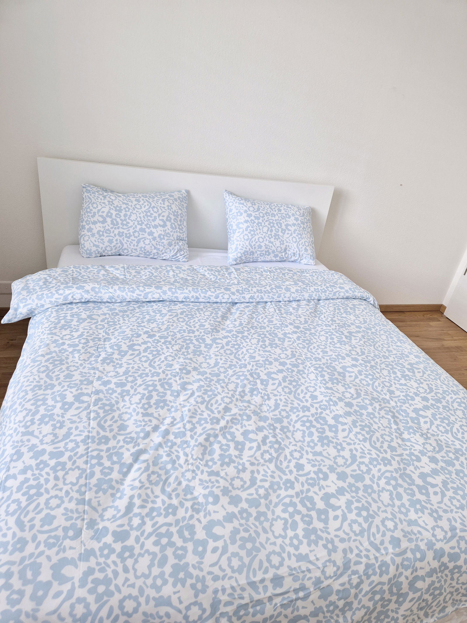 Homestay Genève 521501