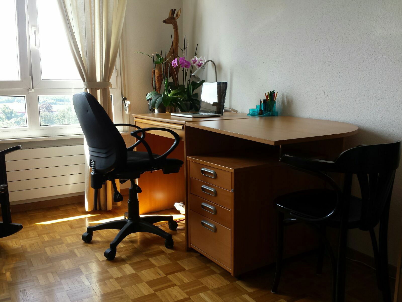 Homestay Le Grand-Saconnex 201934