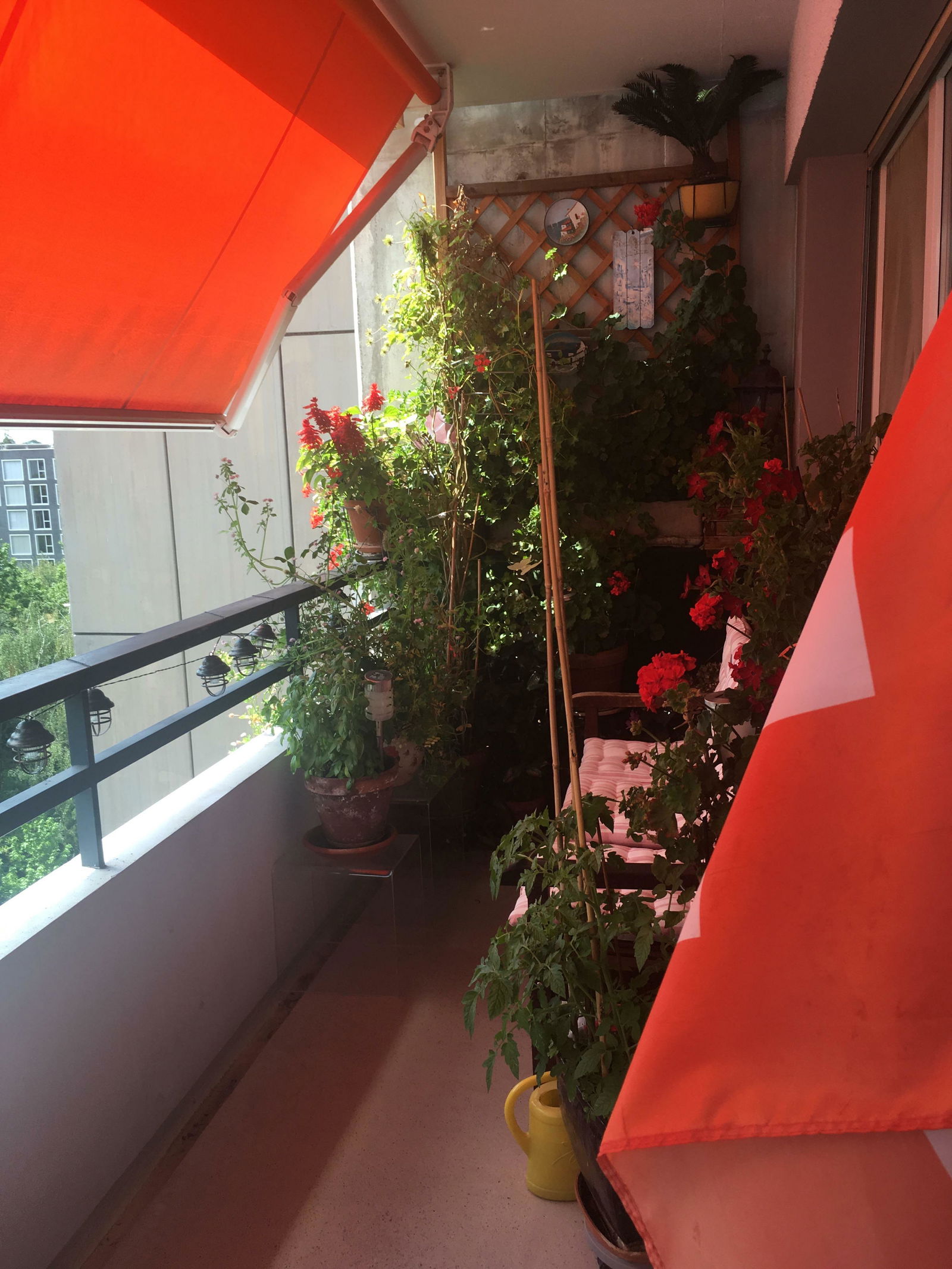 Homestay Le Grand-Saconnex 201934