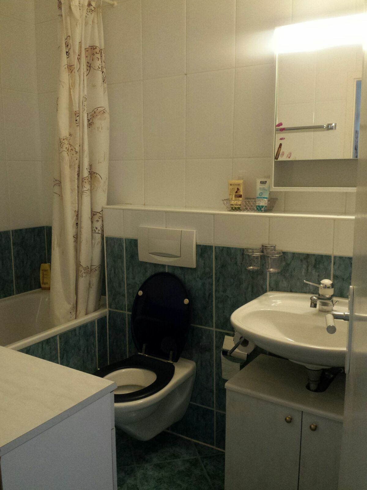 Homestay Le Grand-Saconnex 201934