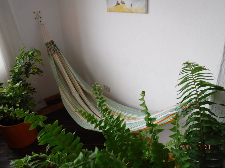 Colocation Quito 54257-5