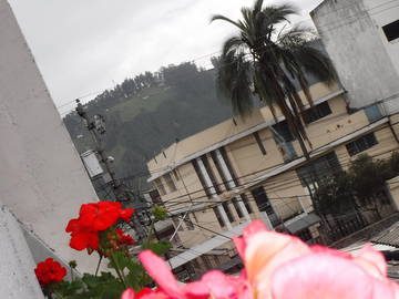 Colocation Quito 54257-9